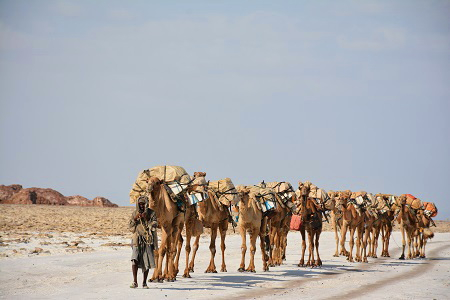 Эфиопия в конце февраля  4,5 дня в Omo National Park, 2 дня Данакиль и 2 дня в Лалибеле