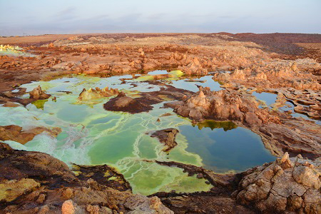 Эфиопия в конце февраля  4,5 дня в Omo National Park, 2 дня Данакиль и 2 дня в Лалибеле