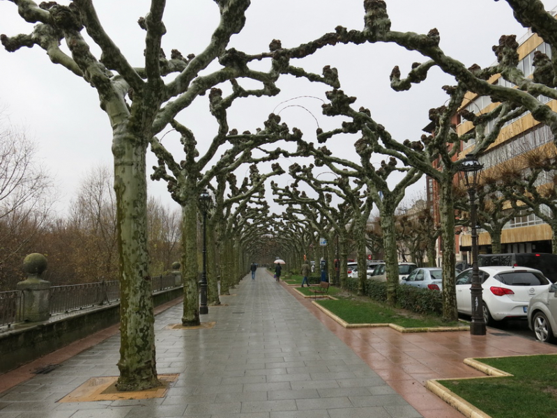 Путь в Сантьяго без камино (Бургос, Леон, Сантьяго де Компостела, А-Корунья) в декабре 2019 года