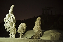 Лапландия – август 2012. Oulanka. Медвежьими тропами в краю оленей. Лапландия – август 2012. Oulanka. Медвежьими тропами в краю оленей.