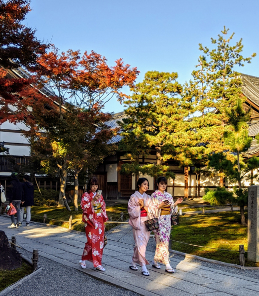 Япония: Киото, Такаяма, Сиракава-го, Токио, Фудзи - 9 дней, ноябрь 2019