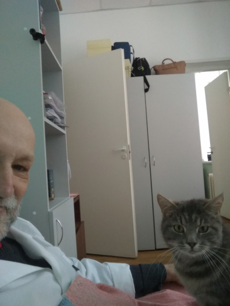 Кошки в нашей жизни. Кошки и все, что с ними связано.