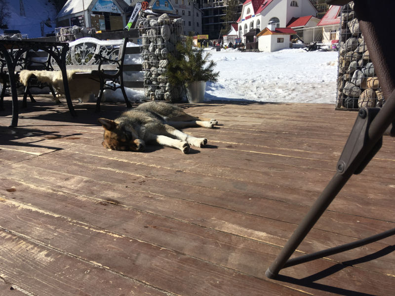 Чегетия 2020 март мама+сын