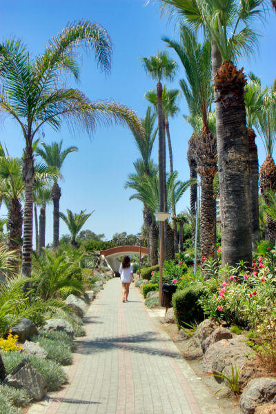 Кипр в 2019, достопримечательности и пляжи с координатами, маршруты по острову Кипр включая Северный Кипр