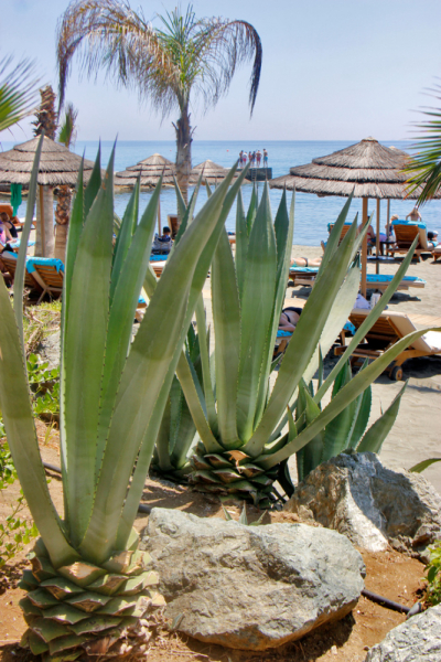 Кипр в 2019, достопримечательности и пляжи с координатами, маршруты по острову Кипр включая Северный Кипр