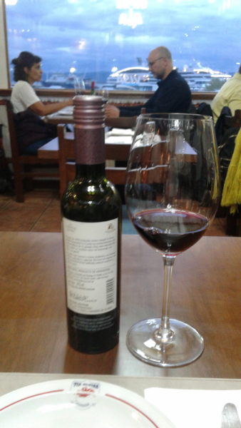 Укусить Южную Америку или День Рождения в @опе мира.(Аргентина-Боливия-Чили-Перу)