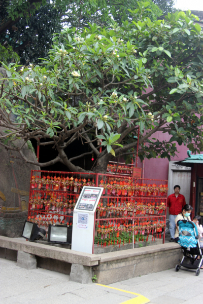 Увидеть Гонконг за 5 дней и влюбиться, Макао 2 дня: основные достопримечательности, как добраться.