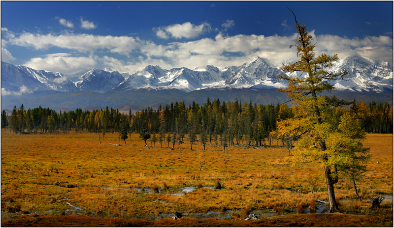 Помогите составить маршрут по горному Алтаю + Барнаул, Новосибирск, Нур-Султан