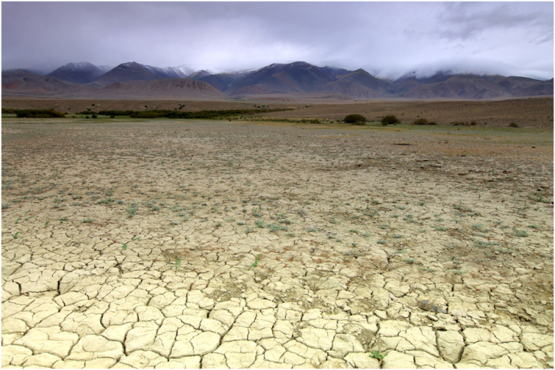 Помогите составить маршрут по горному Алтаю + Барнаул, Новосибирск, Нур-Султан