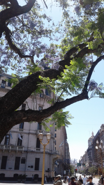 Укусить Южную Америку или День Рождения в @опе мира.(Аргентина-Боливия-Чили-Перу)