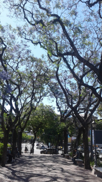 Укусить Южную Америку или День Рождения в @опе мира.(Аргентина-Боливия-Чили-Перу)