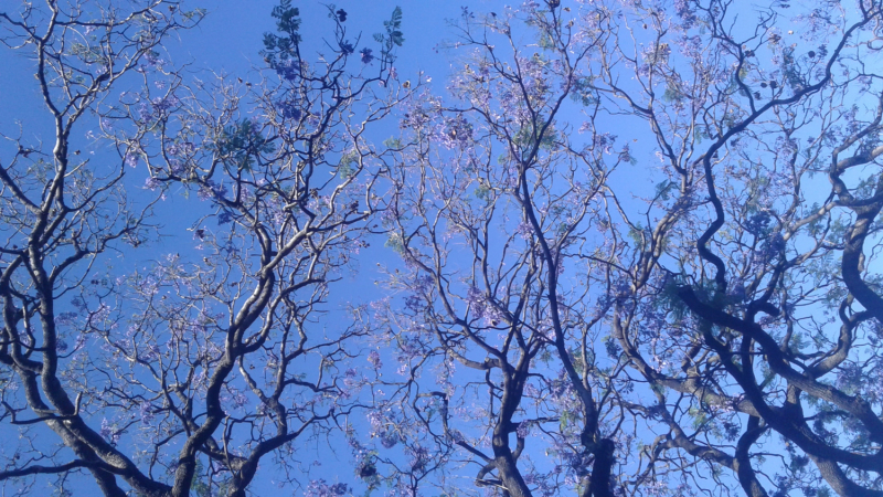 Укусить Южную Америку или День Рождения в @опе мира.(Аргентина-Боливия-Чили-Перу)