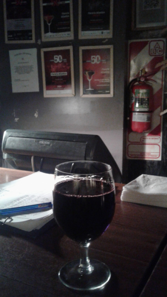 Укусить Южную Америку или День Рождения в @опе мира.(Аргентина-Боливия-Чили-Перу)