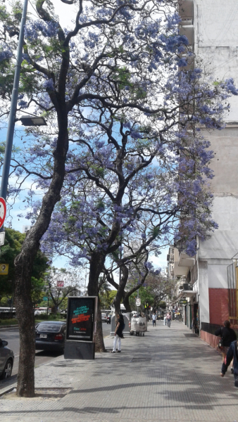 Укусить Южную Америку или День Рождения в @опе мира.(Аргентина-Боливия-Чили-Перу)