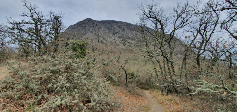 ЮБК. Right here, right now)