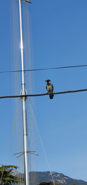 ЮБК. Right here, right now)