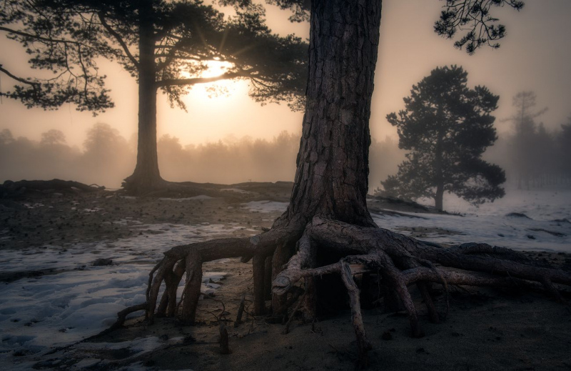 Путешествие на Байкал | Видел то чего не может быть!
