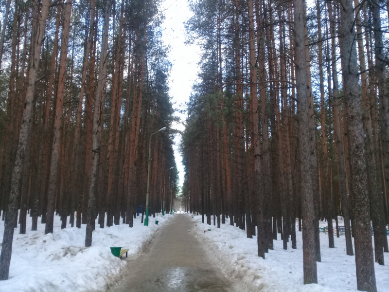 Познавательно-ненапряжный Русский Север без крайних заполярных точек