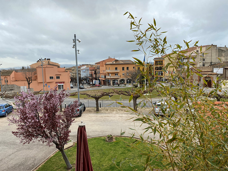 Пешком Torroella de Montgrí – Pals – Begur – Tamariu - Palamos – Platja d’Aro (GR-92), февраль 2020
