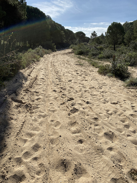 Пешком Torroella de Montgrí – Pals – Begur – Tamariu - Palamos – Platja d’Aro (GR-92), февраль 2020