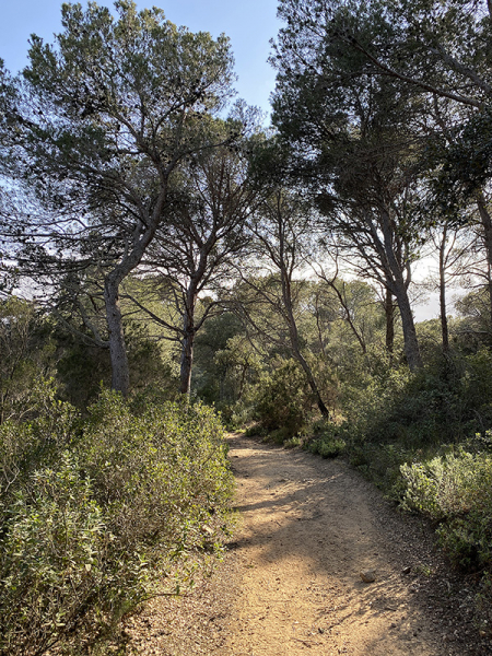 Пешком Torroella de Montgrí – Pals – Begur – Tamariu - Palamos – Platja d’Aro (GR-92), февраль 2020