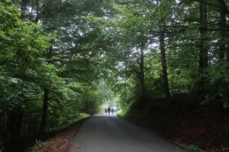 Camino de Santiago 2019. Сен-Жан-Пье-де-Порт  -   Сантьяго (+ Финистерра)