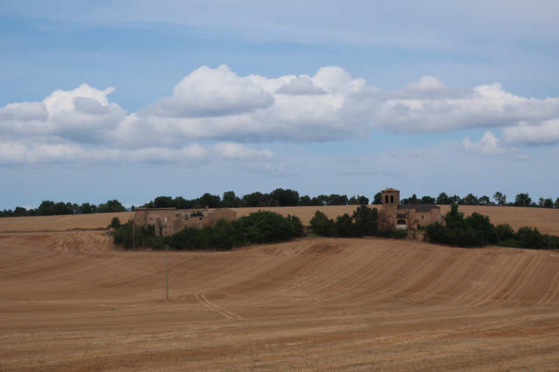 Camino de Santiago 2019. Сен-Жан-Пье-де-Порт  -   Сантьяго (+ Финистерра)