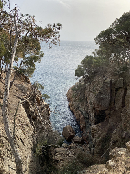 Пешком Torroella de Montgrí – Pals – Begur – Tamariu - Palamos – Platja d’Aro (GR-92), февраль 2020