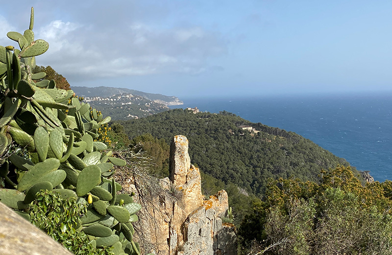 Пешком Torroella de Montgrí – Pals – Begur – Tamariu - Palamos – Platja d’Aro (GR-92), февраль 2020