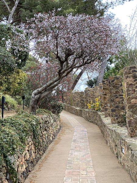 Пешком Torroella de Montgrí – Pals – Begur – Tamariu - Palamos – Platja d’Aro (GR-92), февраль 2020