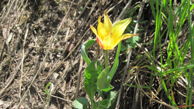 Маршрут по Узбекистану на майские