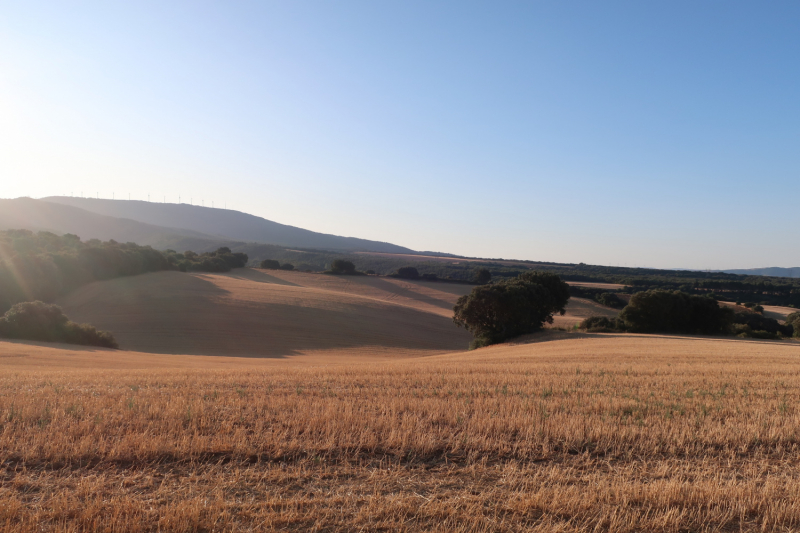 Camino de Santiago 2019. Сен-Жан-Пье-де-Порт  -   Сантьяго (+ Финистерра)