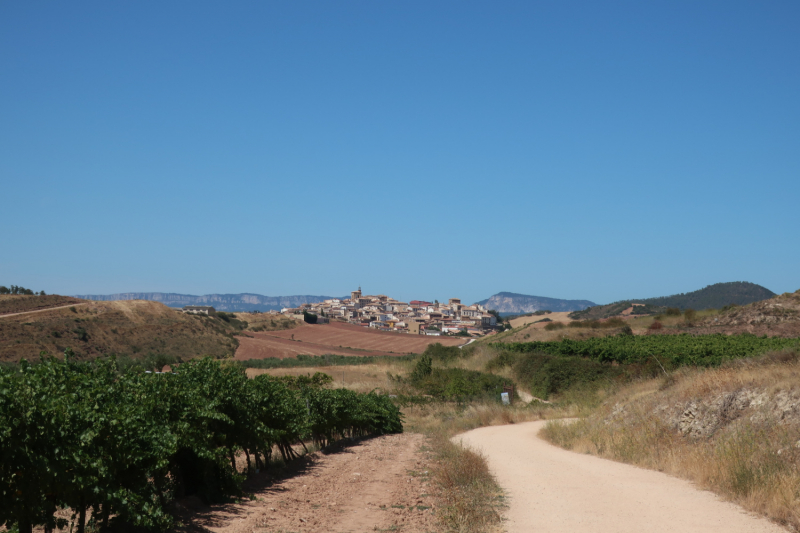 Camino de Santiago 2019. Сен-Жан-Пье-де-Порт  -   Сантьяго (+ Финистерра)