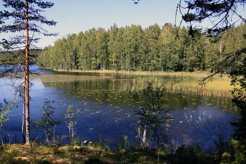 Водный поход на байдарках по Финляндии (Enonkoski – Kolovesi NP – Linnansaari NP – Enonkoski) 2018