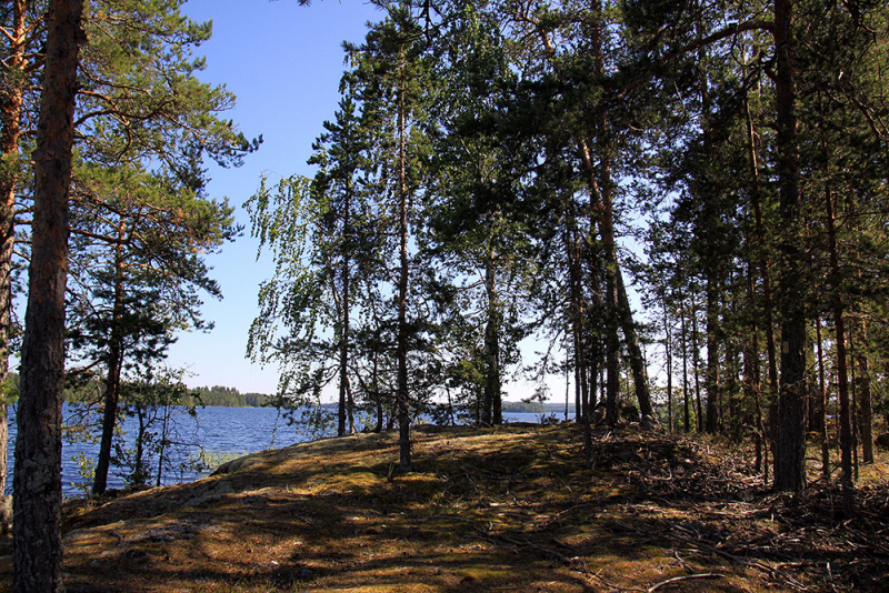 Водный поход на байдарках по Финляндии (Enonkoski – Kolovesi NP – Linnansaari NP – Enonkoski) 2018