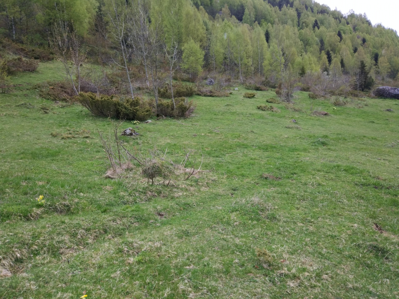 Мои Пиренеи. Май в горах и городах.