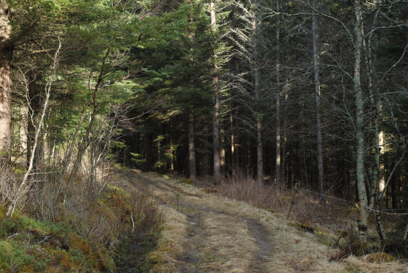 Окрестности Brønnøysund это не только Torghatten