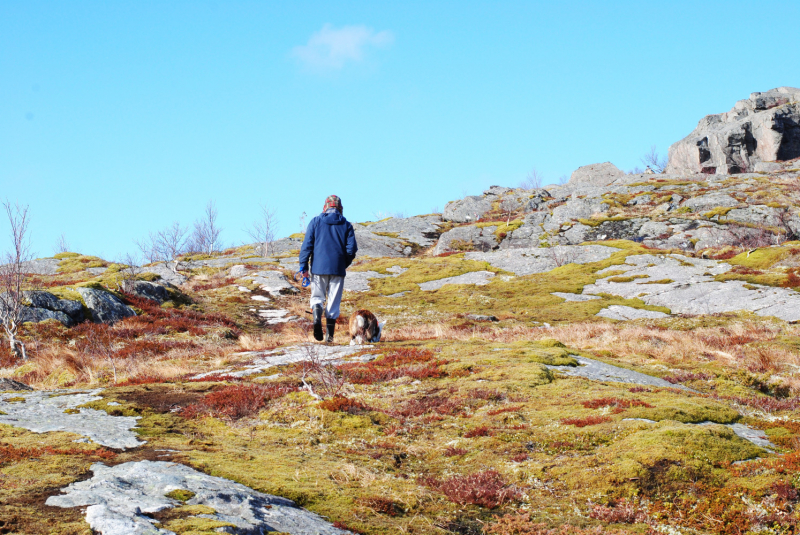 Окрестности Brønnøysund это не только Torghatten