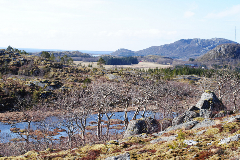 Окрестности Brønnøysund это не только Torghatten