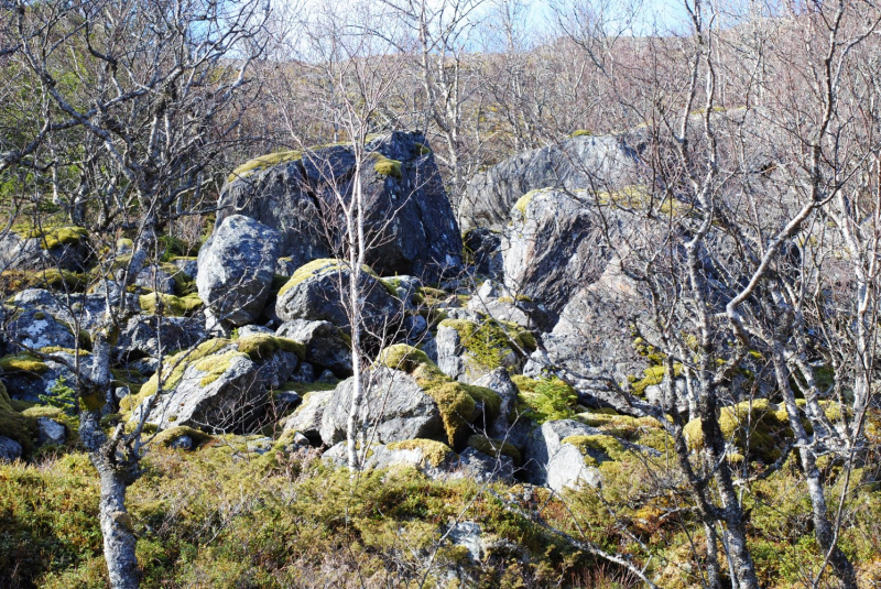 Окрестности Brønnøysund это не только Torghatten