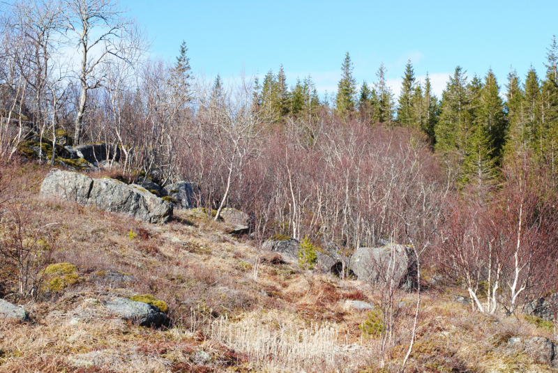 Окрестности Brønnøysund это не только Torghatten