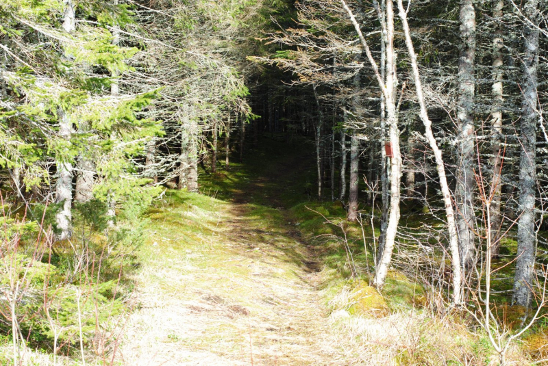 Окрестности Brønnøysund это не только Torghatten