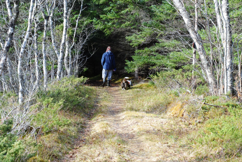 Окрестности Brønnøysund это не только Torghatten