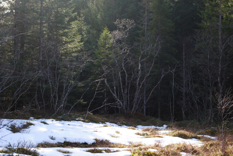 Окрестности Brønnøysund это не только Torghatten