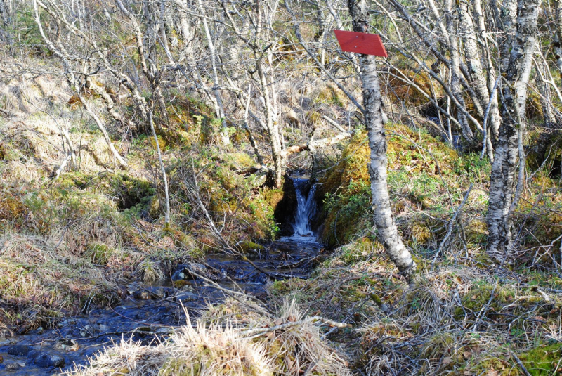 Окрестности Brønnøysund это не только Torghatten