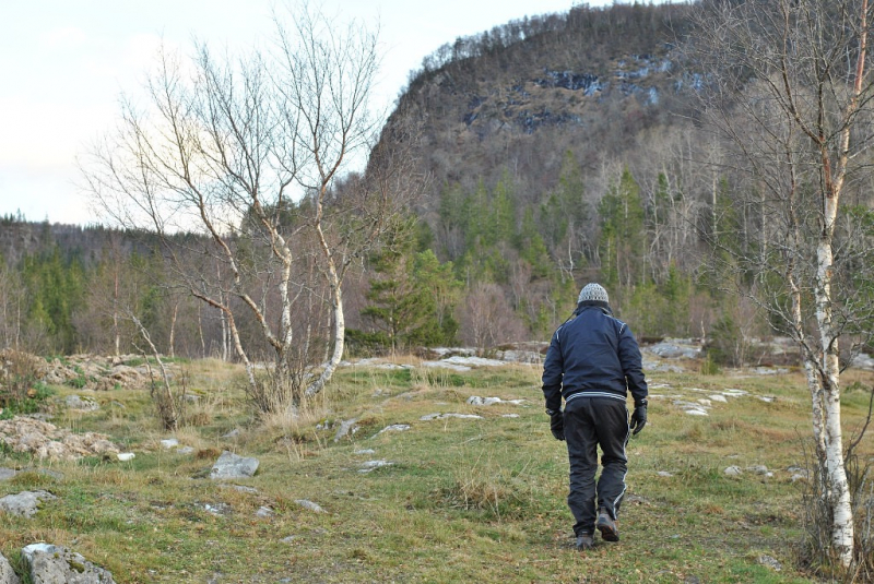 Окрестности Brønnøysund это не только Torghatten
