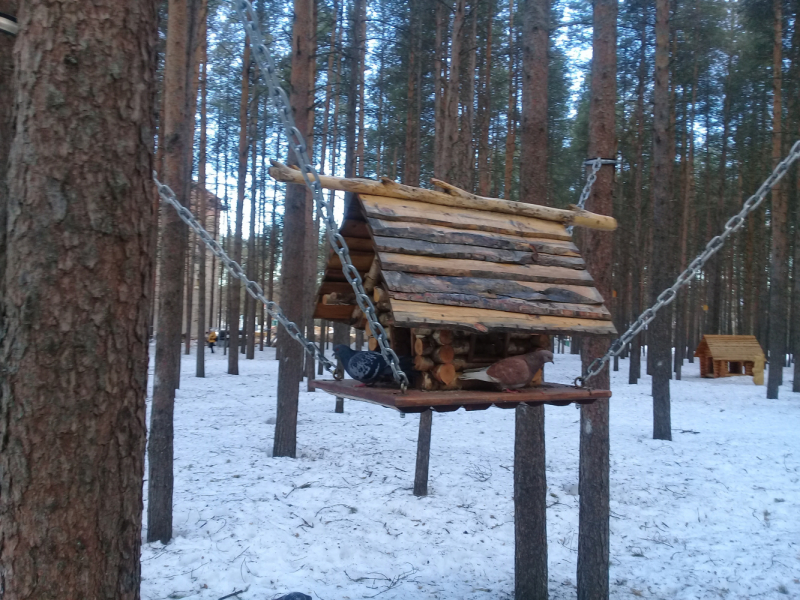 Познавательно-ненапряжный Русский Север без крайних заполярных точек