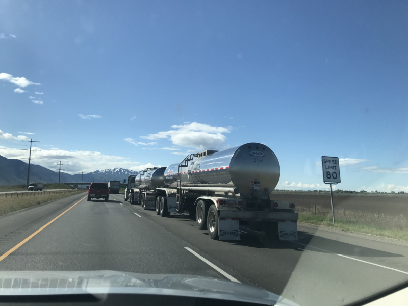 Парки Запада США, включая Yellowstone и Grand Teton. 2-13 мая.