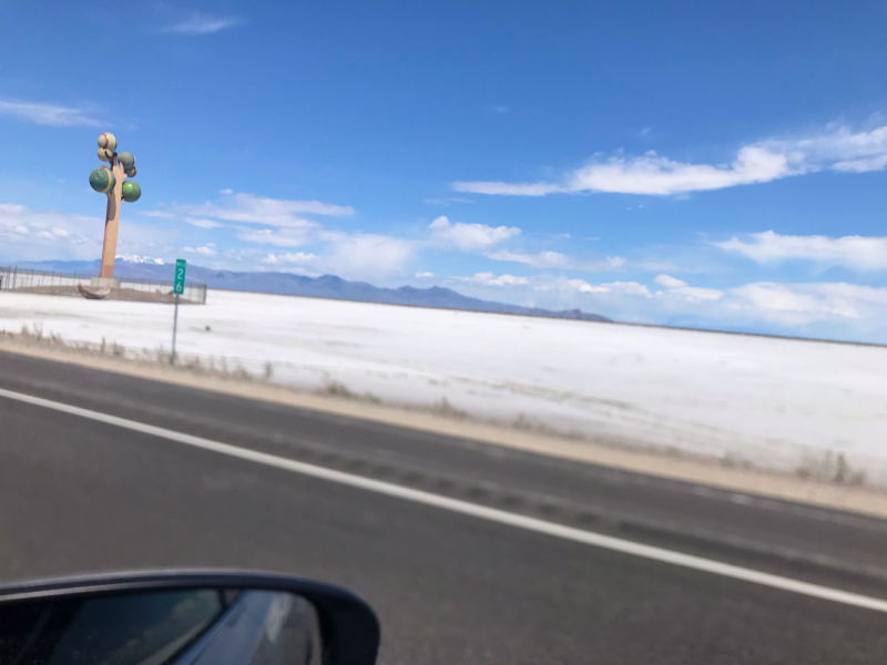 Парки Запада США, включая Yellowstone и Grand Teton. 2-13 мая.