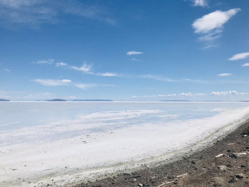 Парки Запада США, включая Yellowstone и Grand Teton. 2-13 мая.